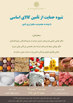 سمینار شیوه حمایت از تامین کالای اساسی 